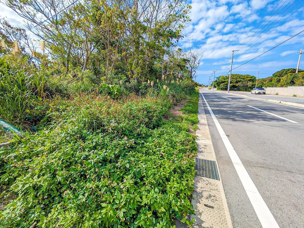 本部町字石川売土地