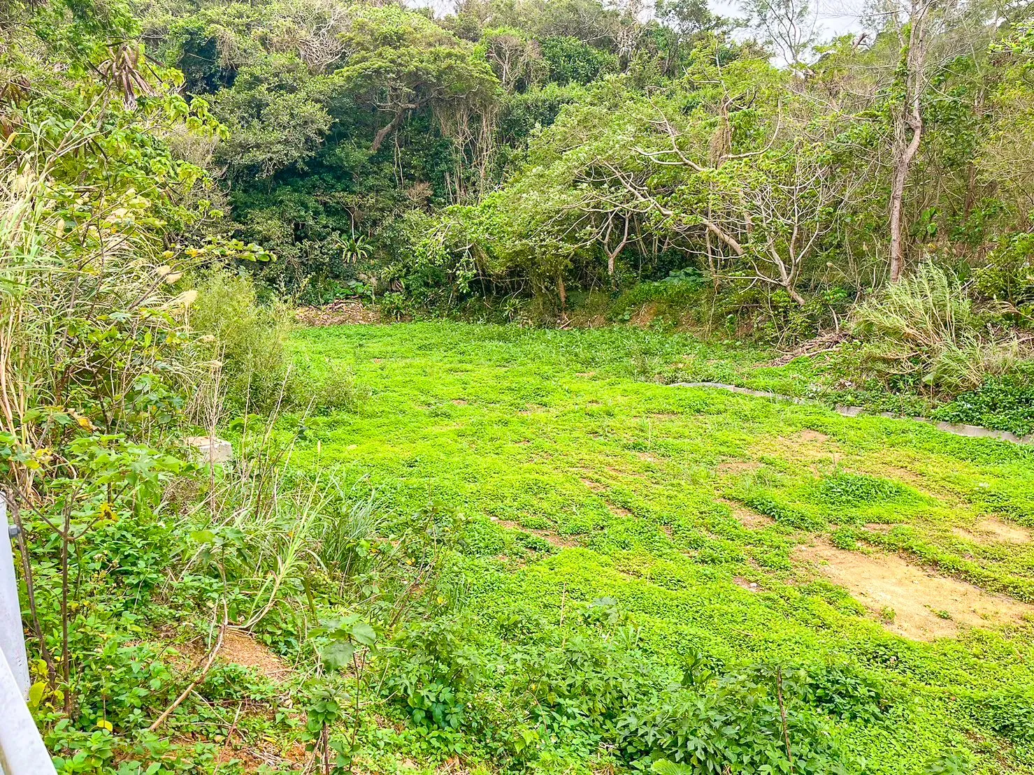 本部町字具志堅売り土地