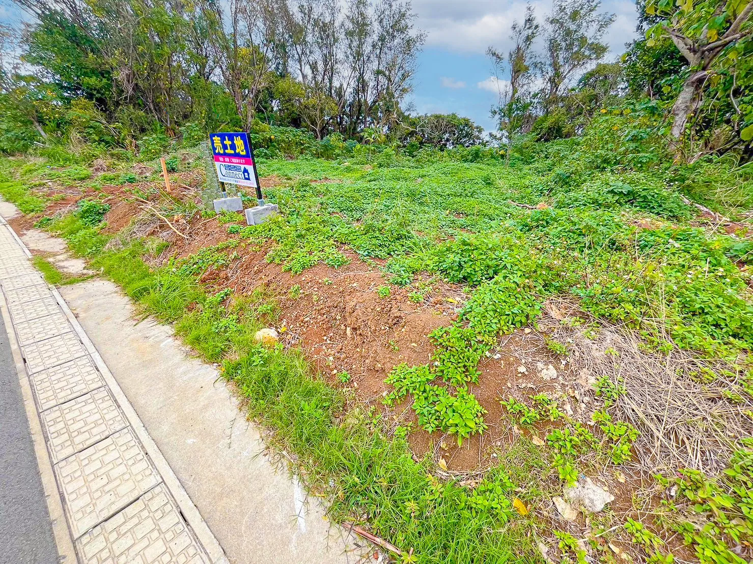 【100坪】本部町字瀬底売り土地