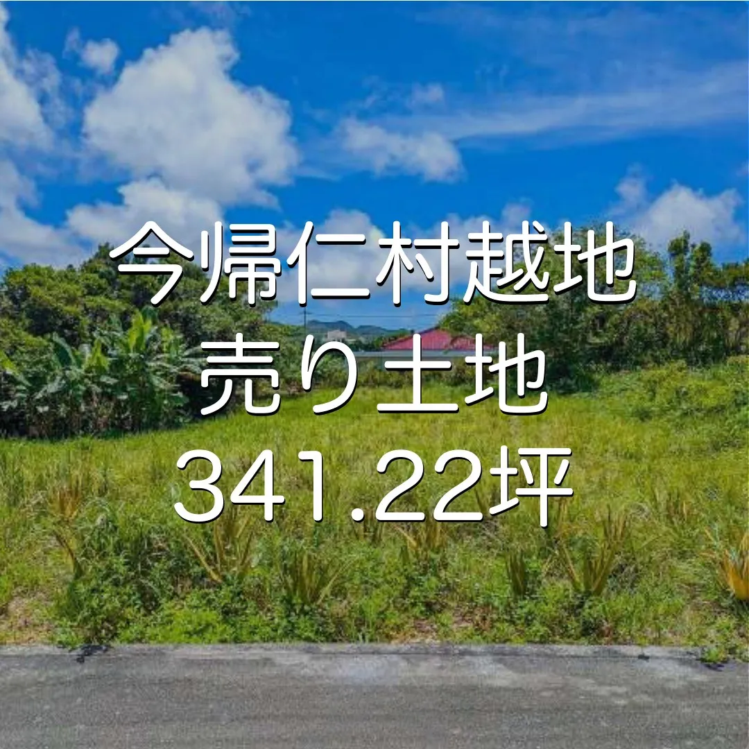 今帰仁村越地売り土地341.22坪✨