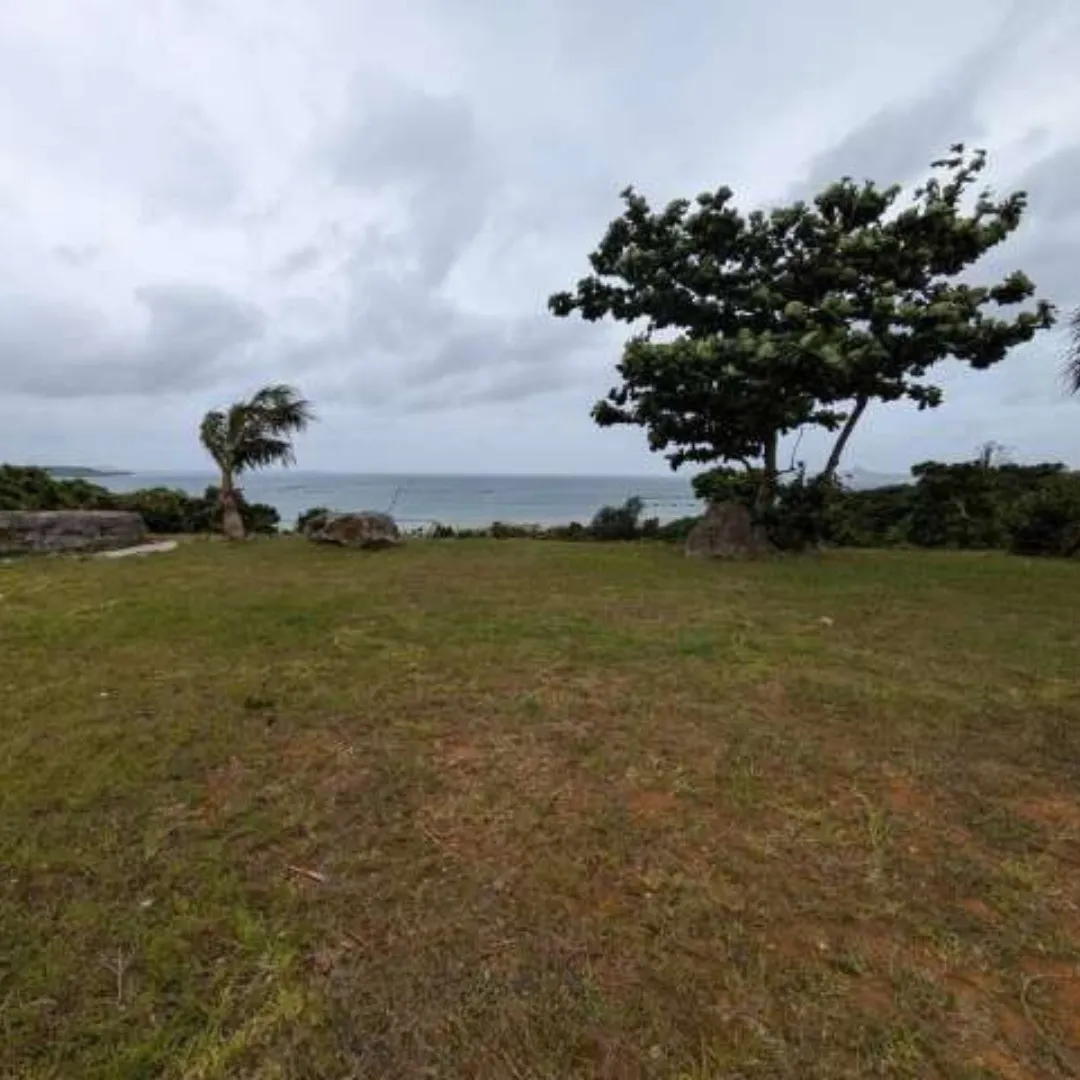 本部町浜元売土地1607.49坪✨