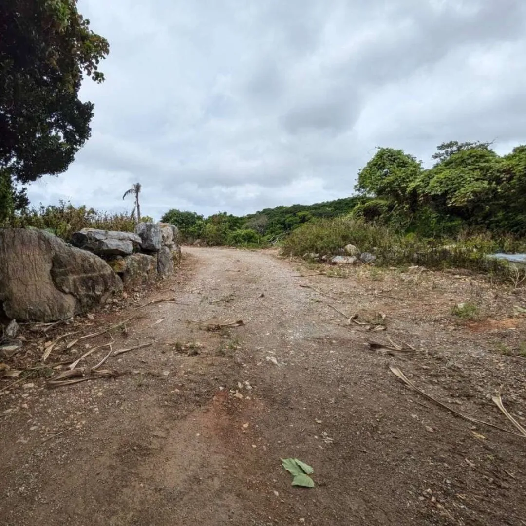 本部町浜元売土地1607.49坪✨