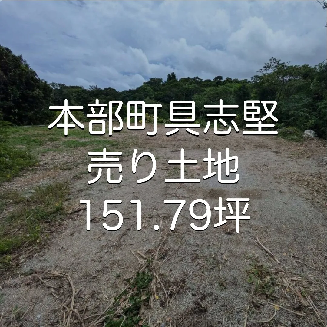 本部町具志堅売土地151.79坪✨