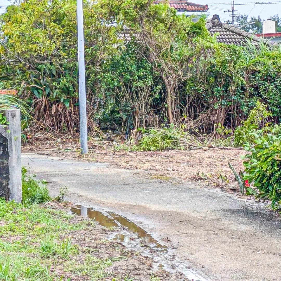 名護市稲嶺売り土地62.01坪 ✨