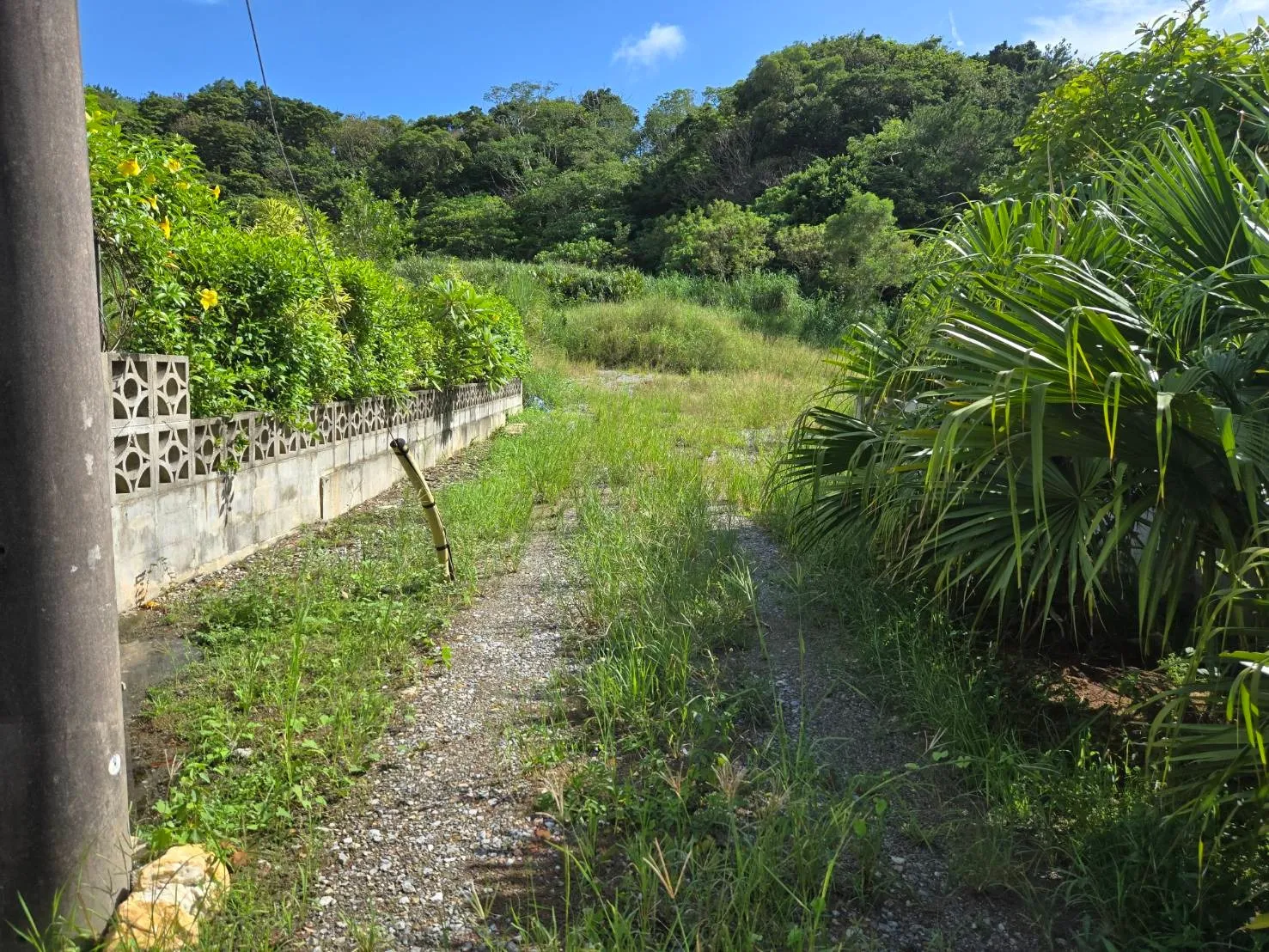 名護市古我知売土地