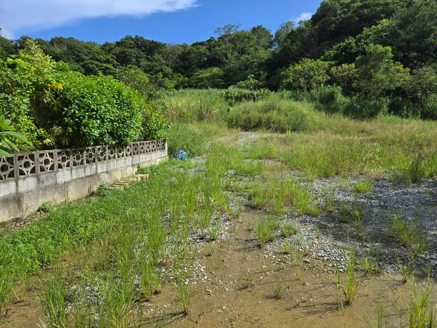 名護市古我知売土地