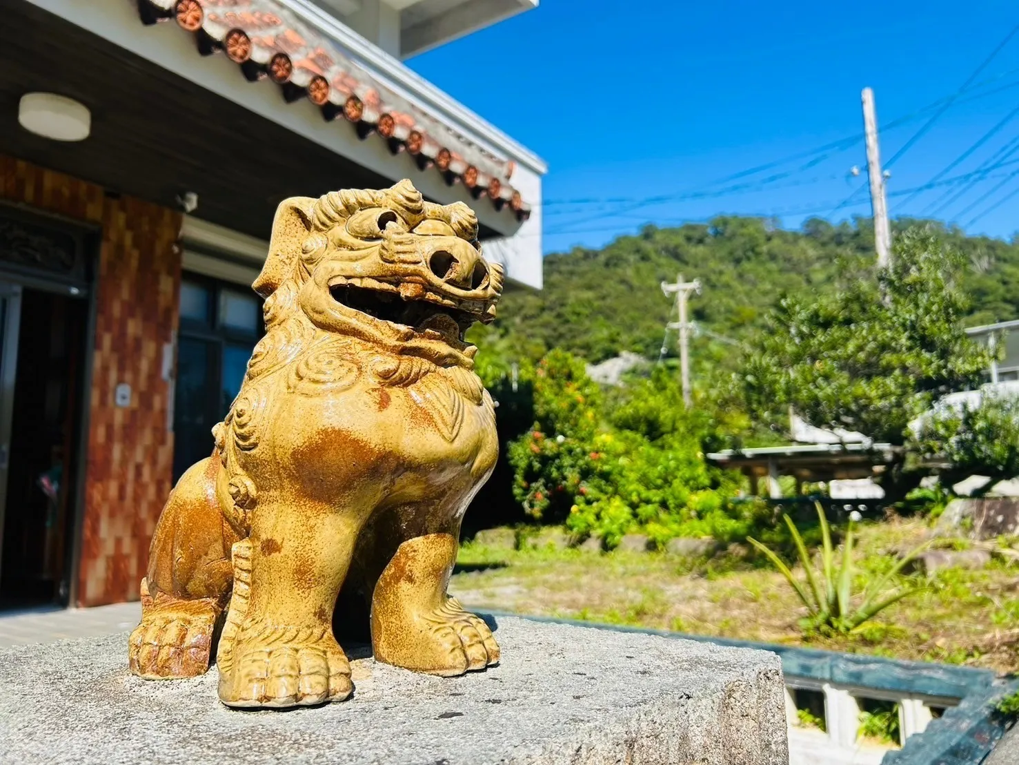 国頭村安波 中古戸建