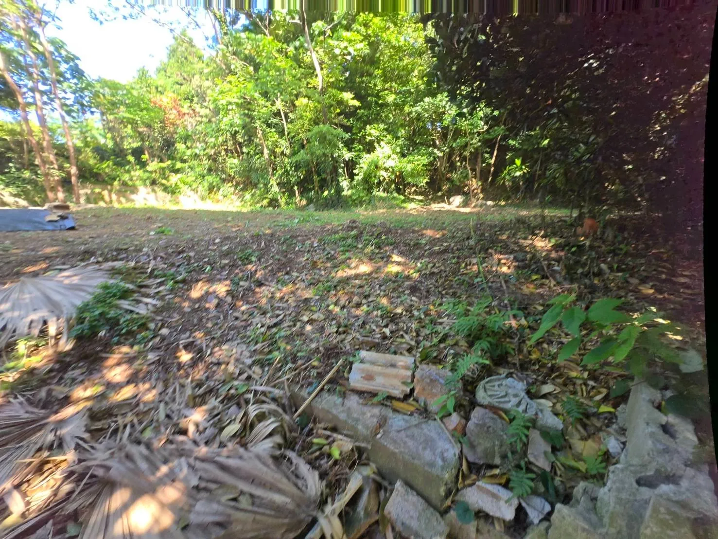 本部町具志堅売土地