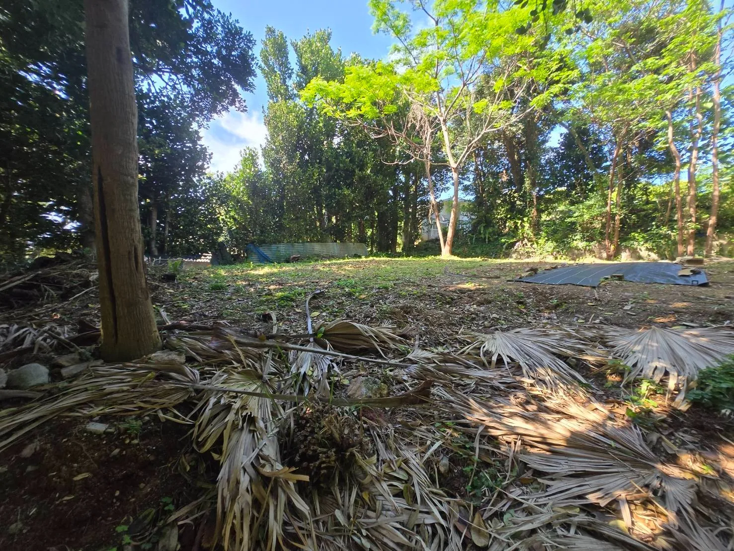 本部町具志堅売土地