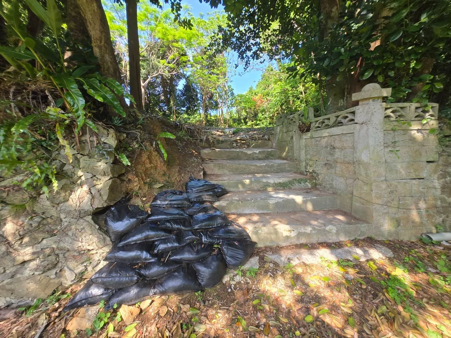 本部町具志堅売土地