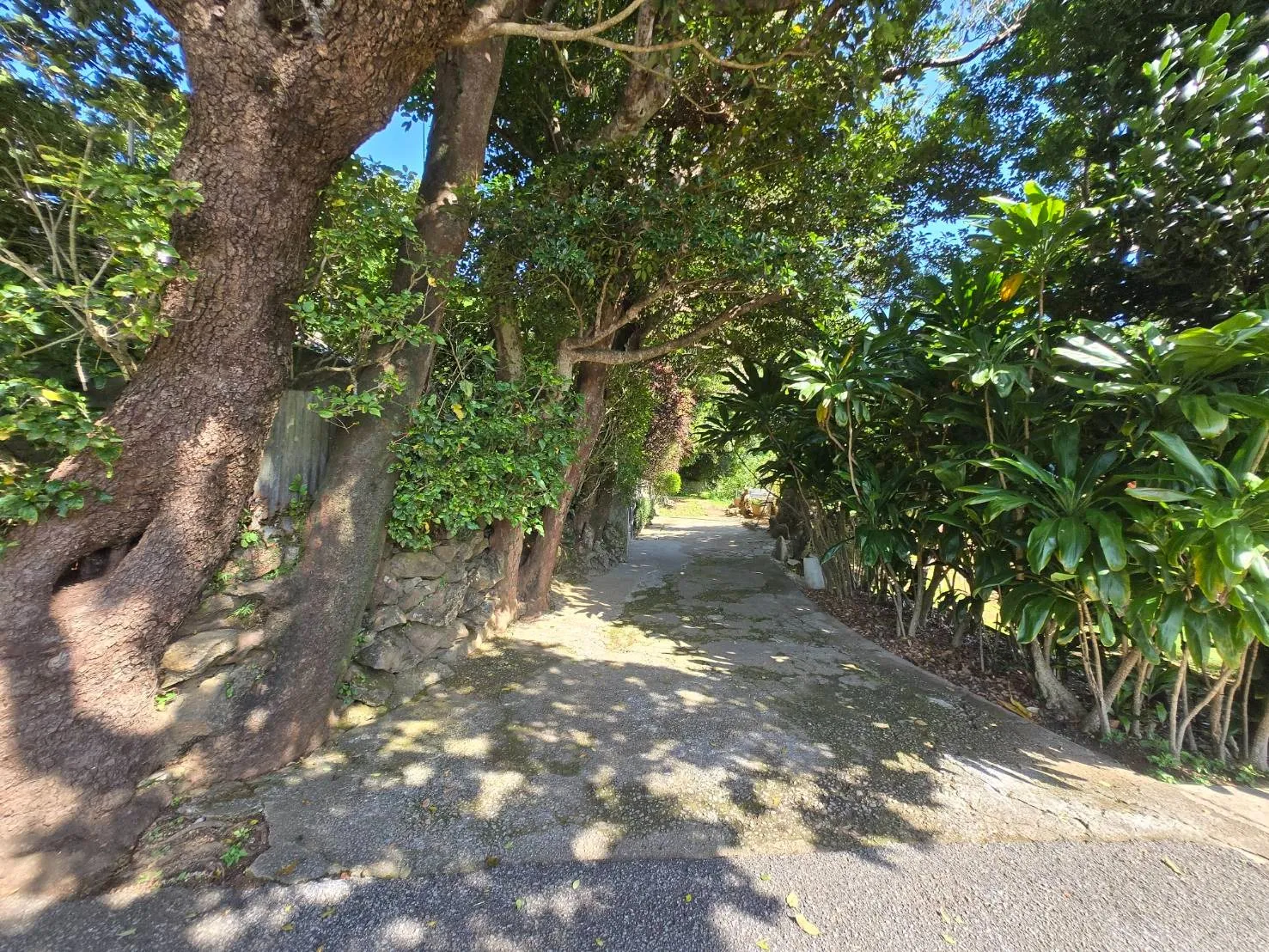 本部町具志堅売土地