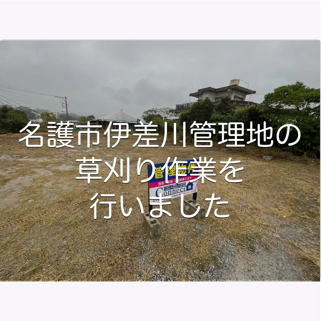 名護市伊差川管理地の草刈り作業を行いました✨