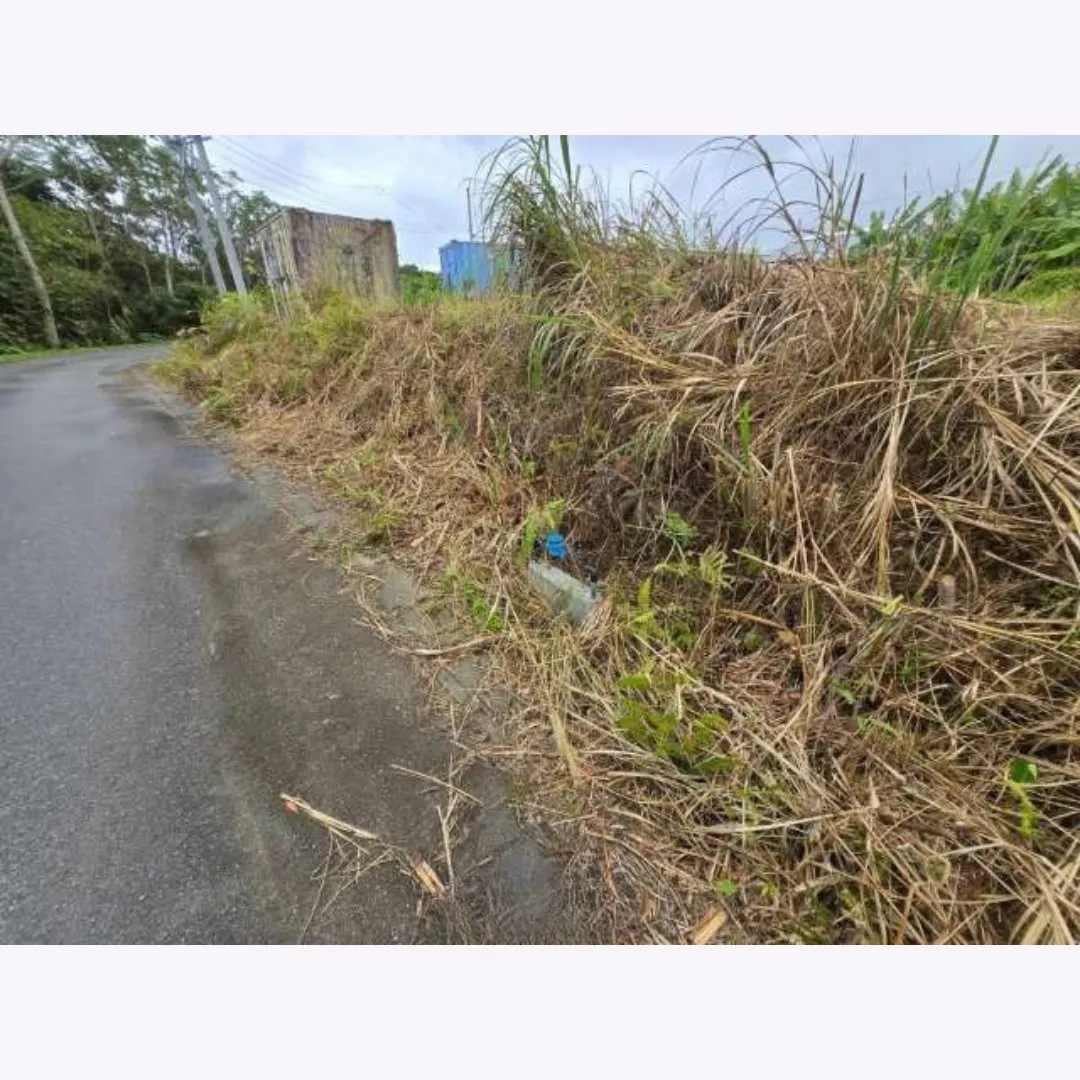 名護市為又売土地✨