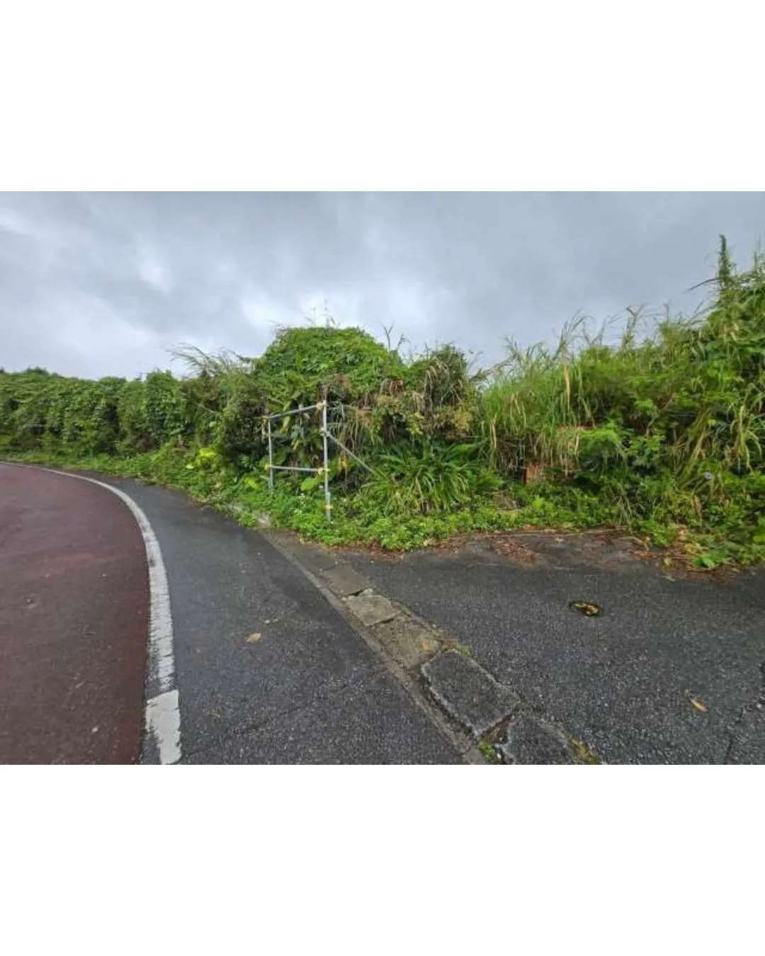 名護市為又売土地3072.19坪✨