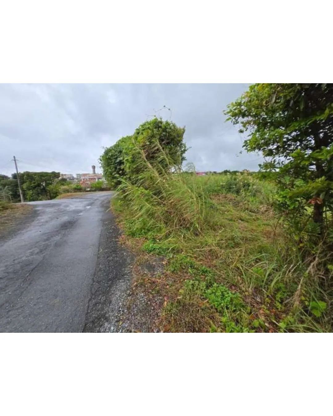 名護市為又売土地3072.19坪✨