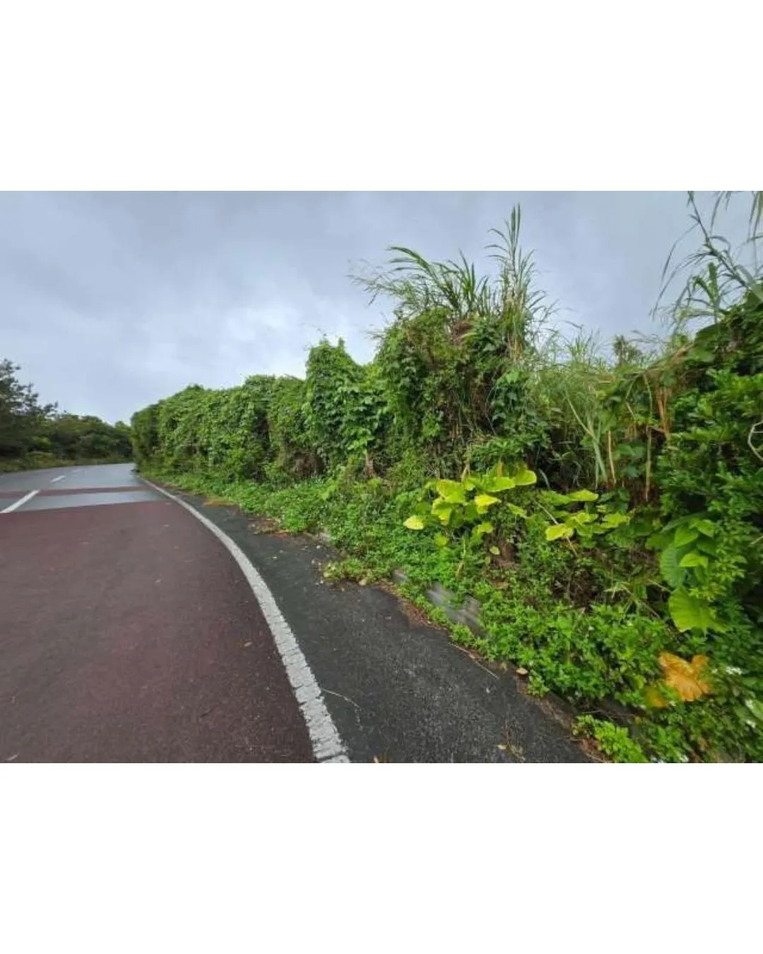 名護市為又売土地3072.19坪✨