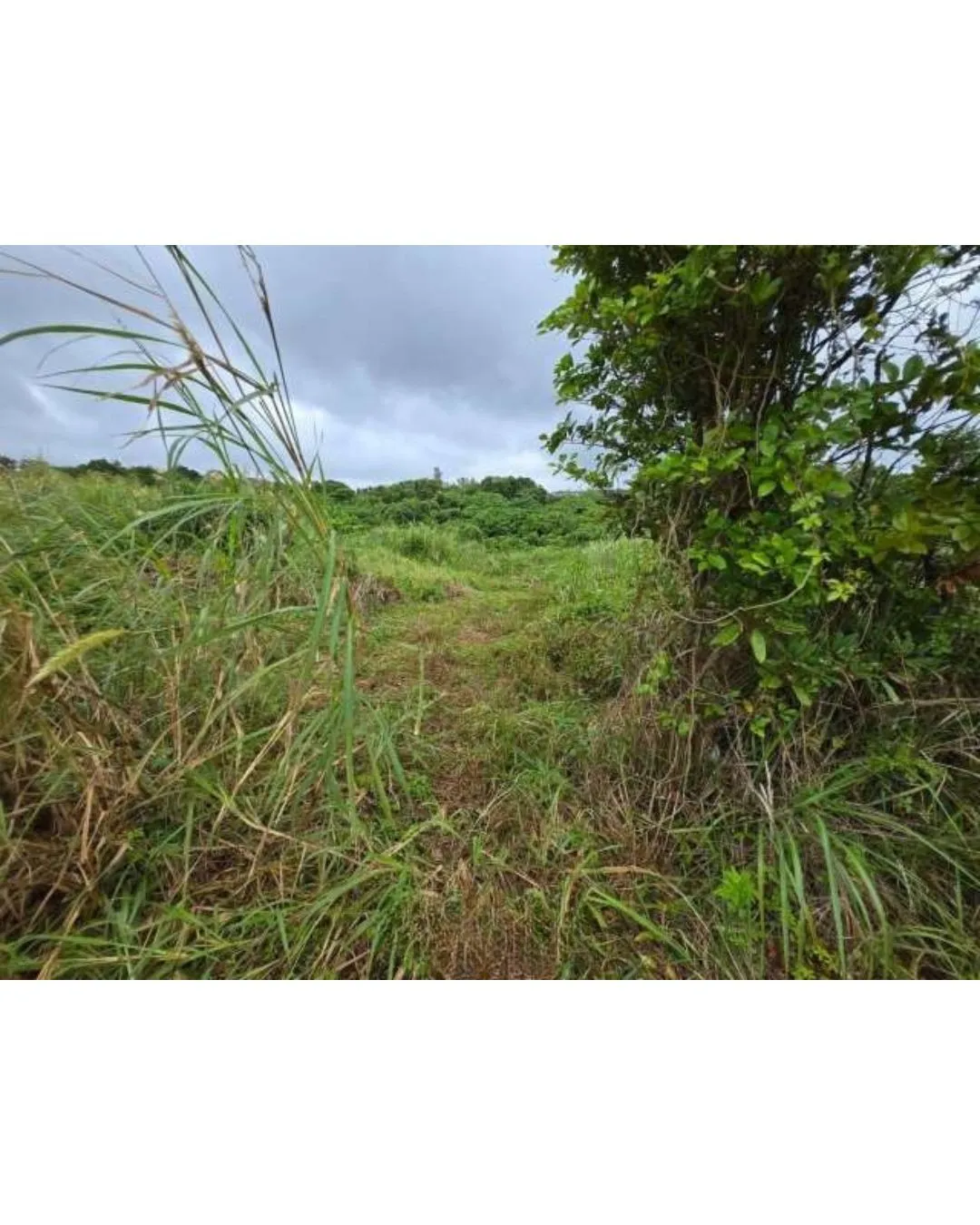 名護市為又売土地3072.19坪✨