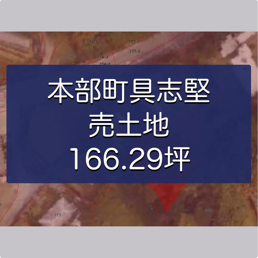 本部町具志堅売土地 166.29坪✨