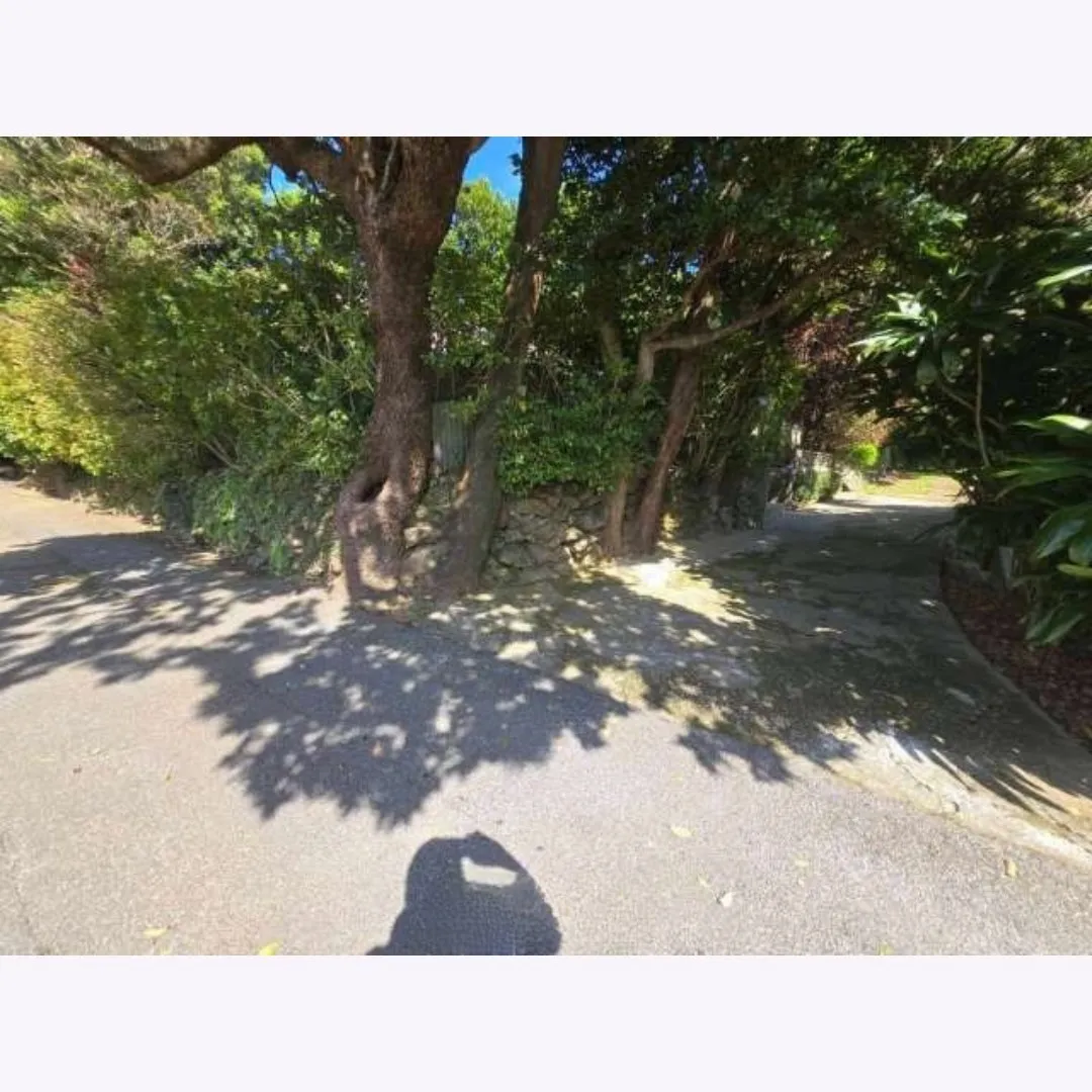 本部町具志堅売土地 166.29坪✨