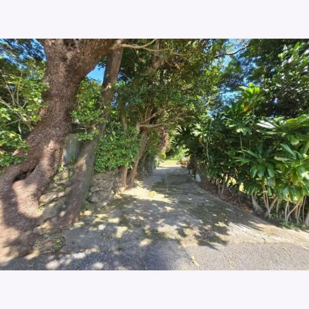 本部町具志堅売土地 166.29坪✨