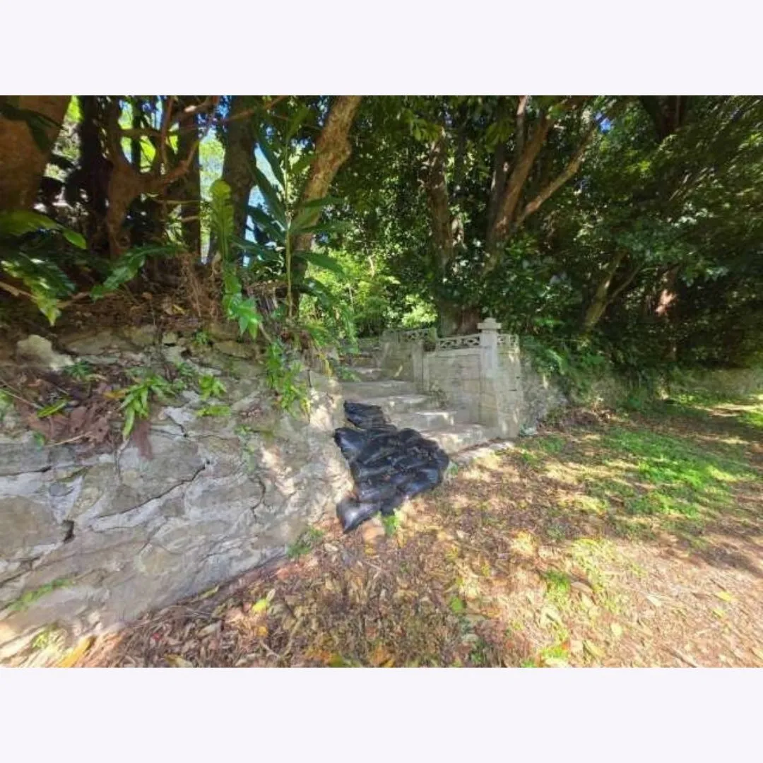 本部町具志堅売土地 166.29坪✨