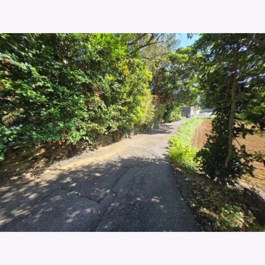 本部町具志堅売土地 166.29坪✨