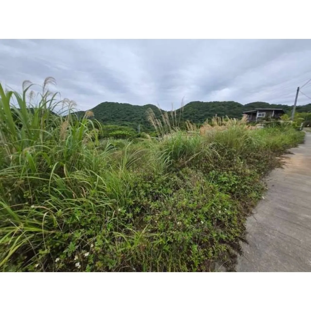 今帰仁村今泊売土地 94.38坪✨