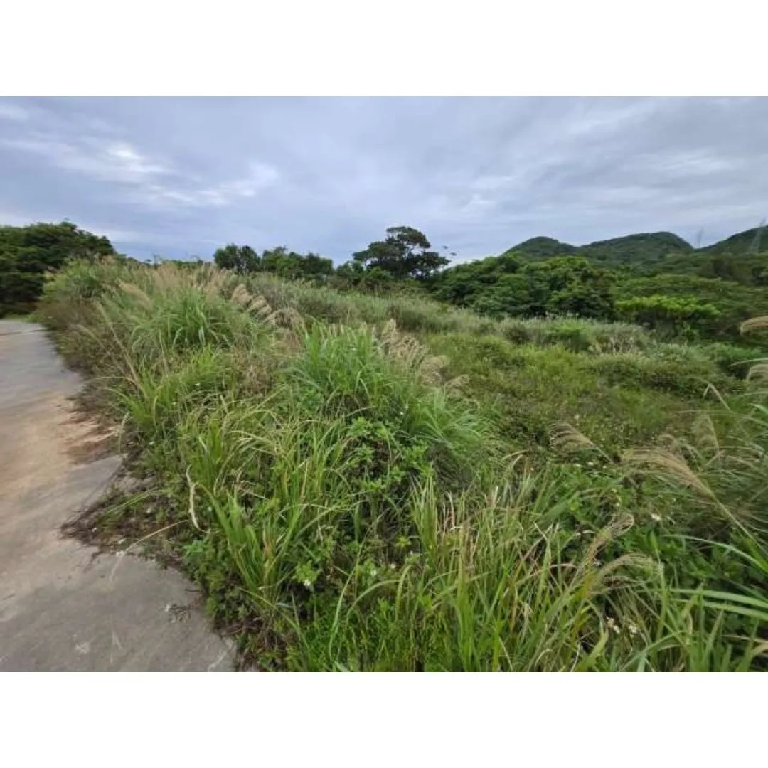 今帰仁村今泊売土地 94.38坪✨