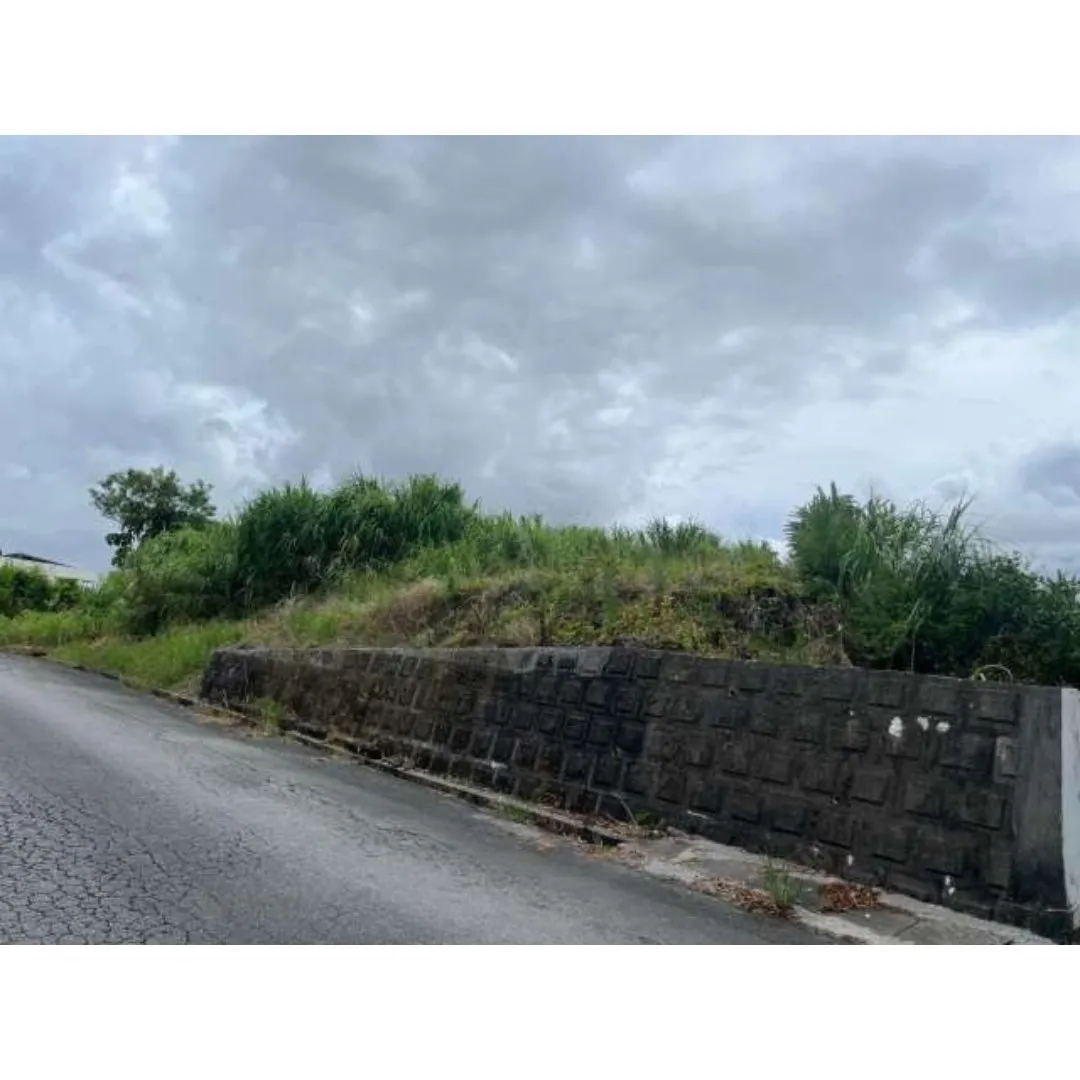 名護市我部祖河売土地160.62坪✨