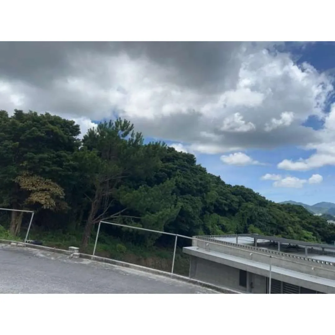 名護市為又売土地1249.02坪✨