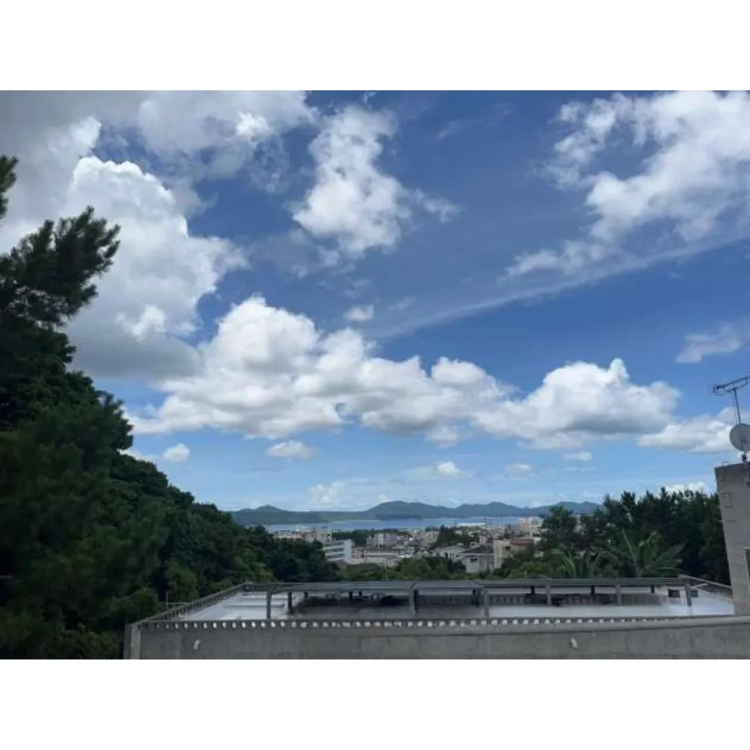 名護市為又売土地1249.02坪✨