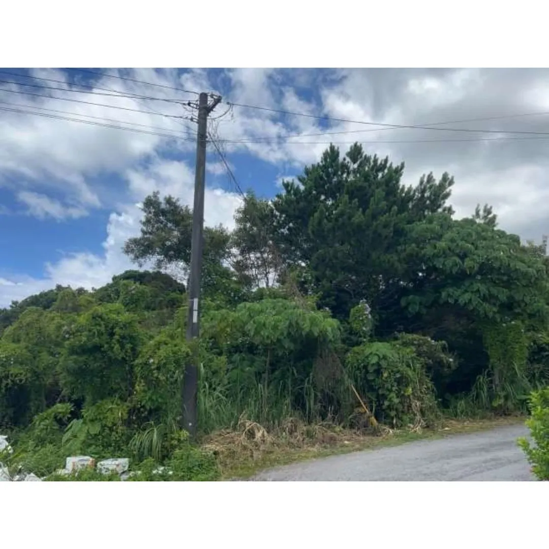 名護市為又売土地1249.02坪✨
