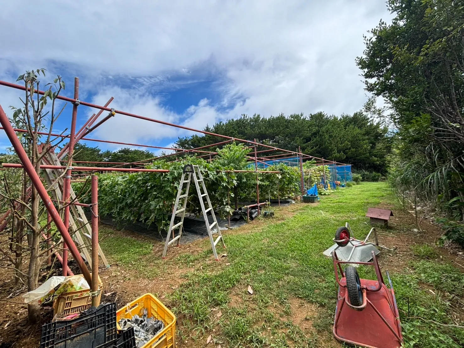 名護市振慶名売り土地