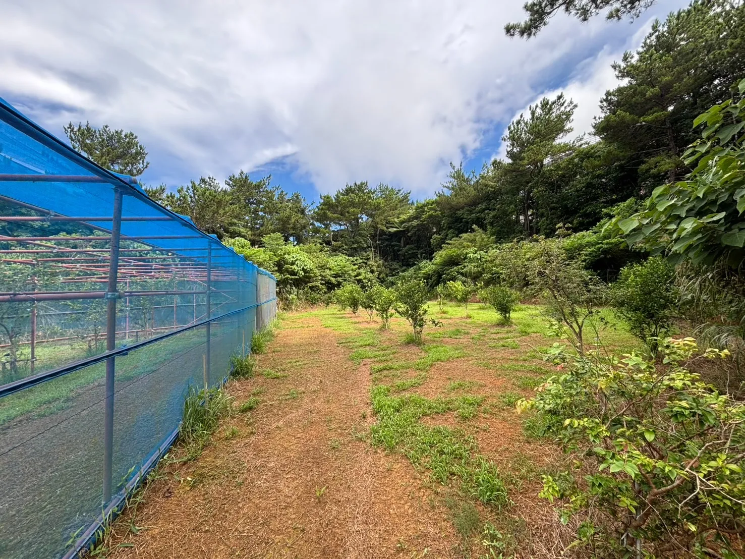 名護市振慶名売り土地