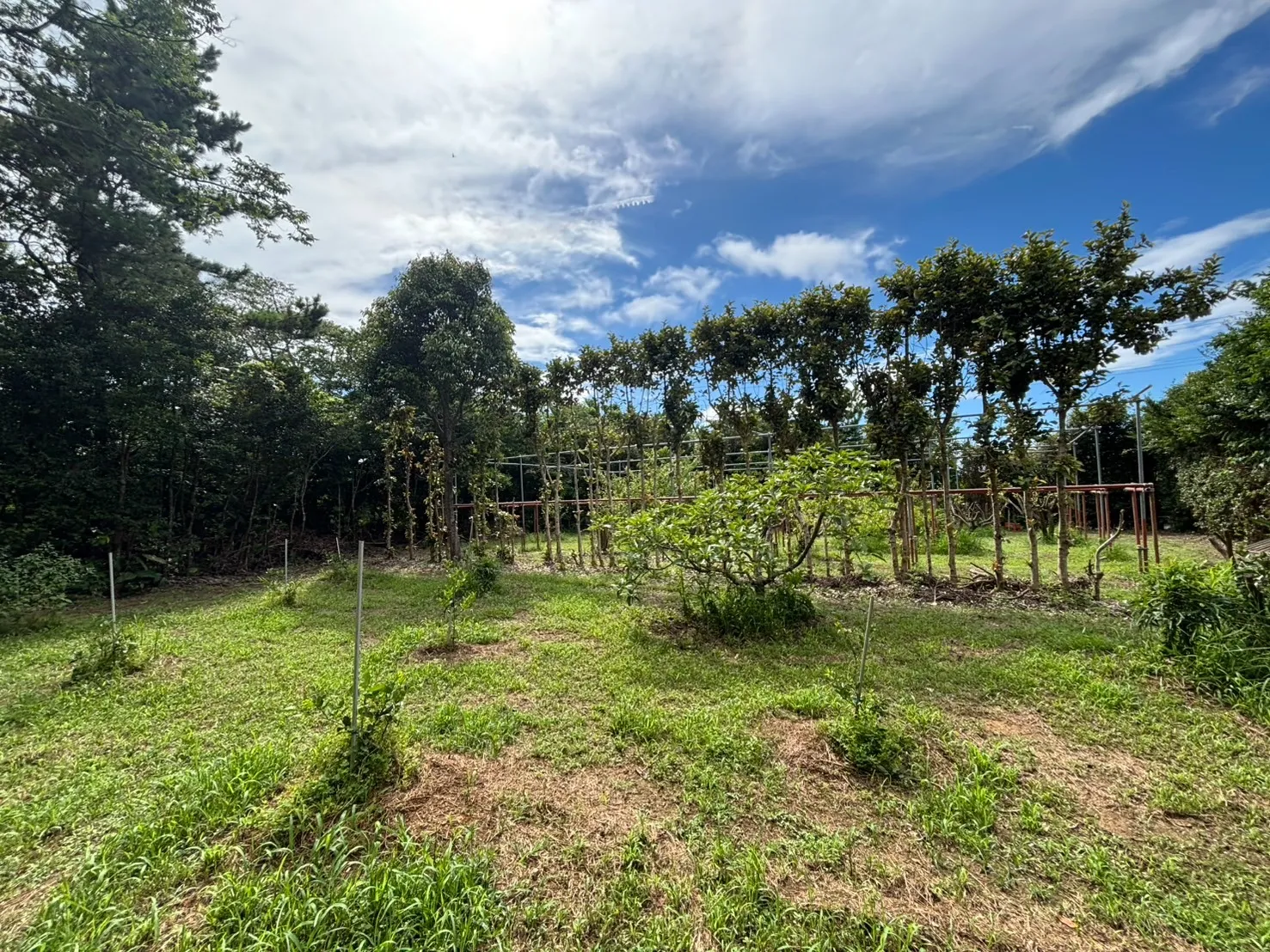 名護市振慶名売り土地