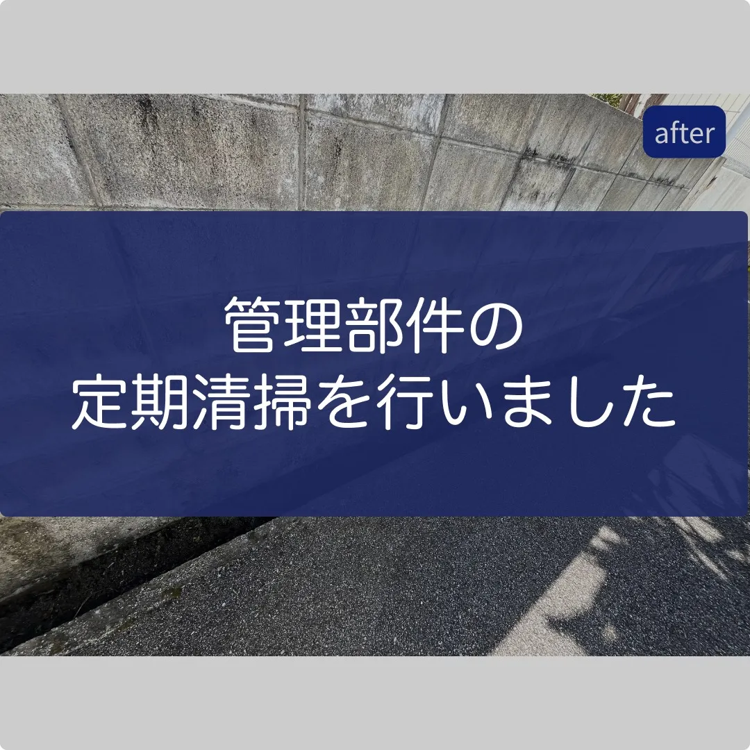 管理物件の定期清掃を行いました✨