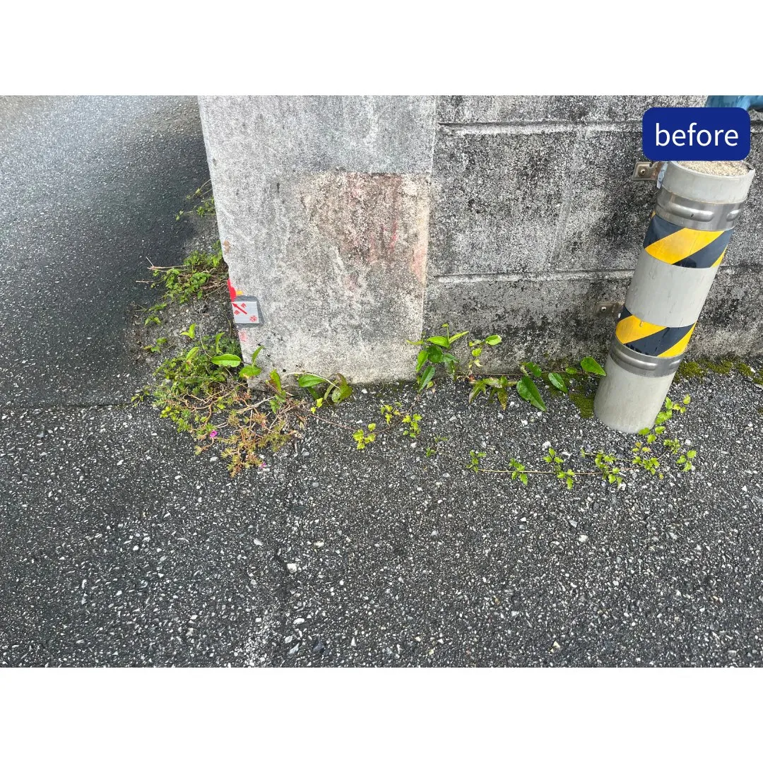 管理物件の定期清掃を行いました✨