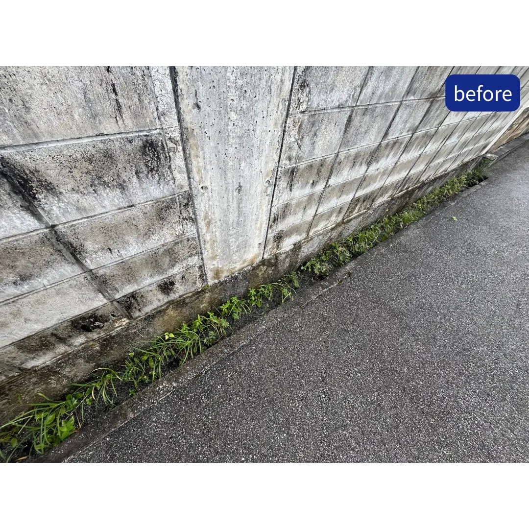 管理物件の定期清掃を行いました✨