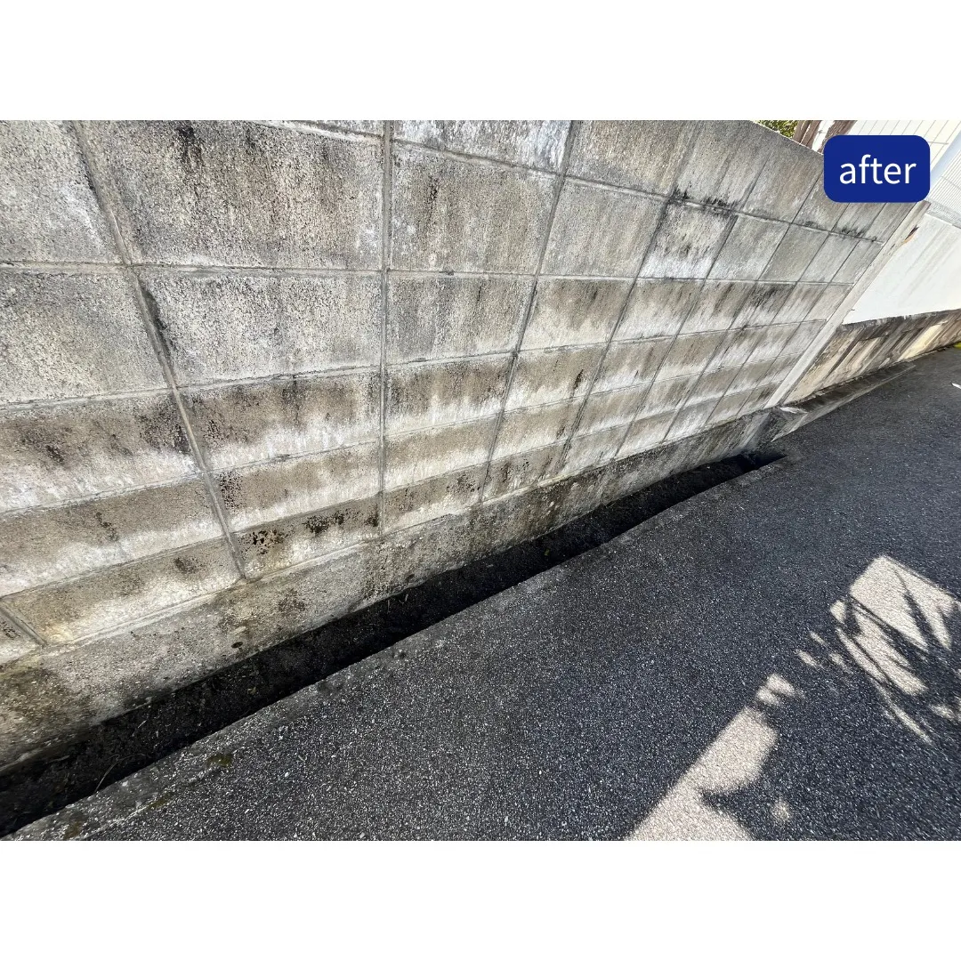 管理物件の定期清掃を行いました✨