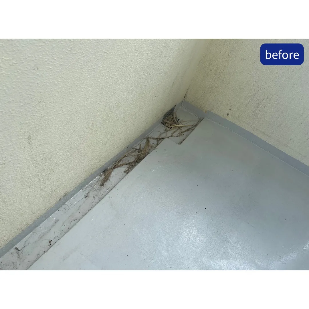 管理物件の定期清掃を行いました✨