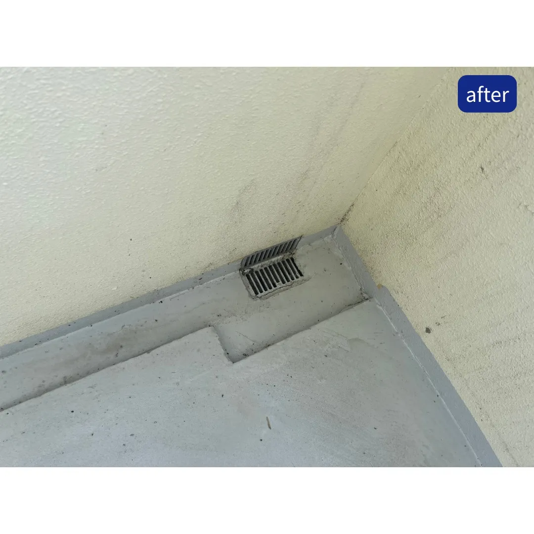 管理物件の定期清掃を行いました✨