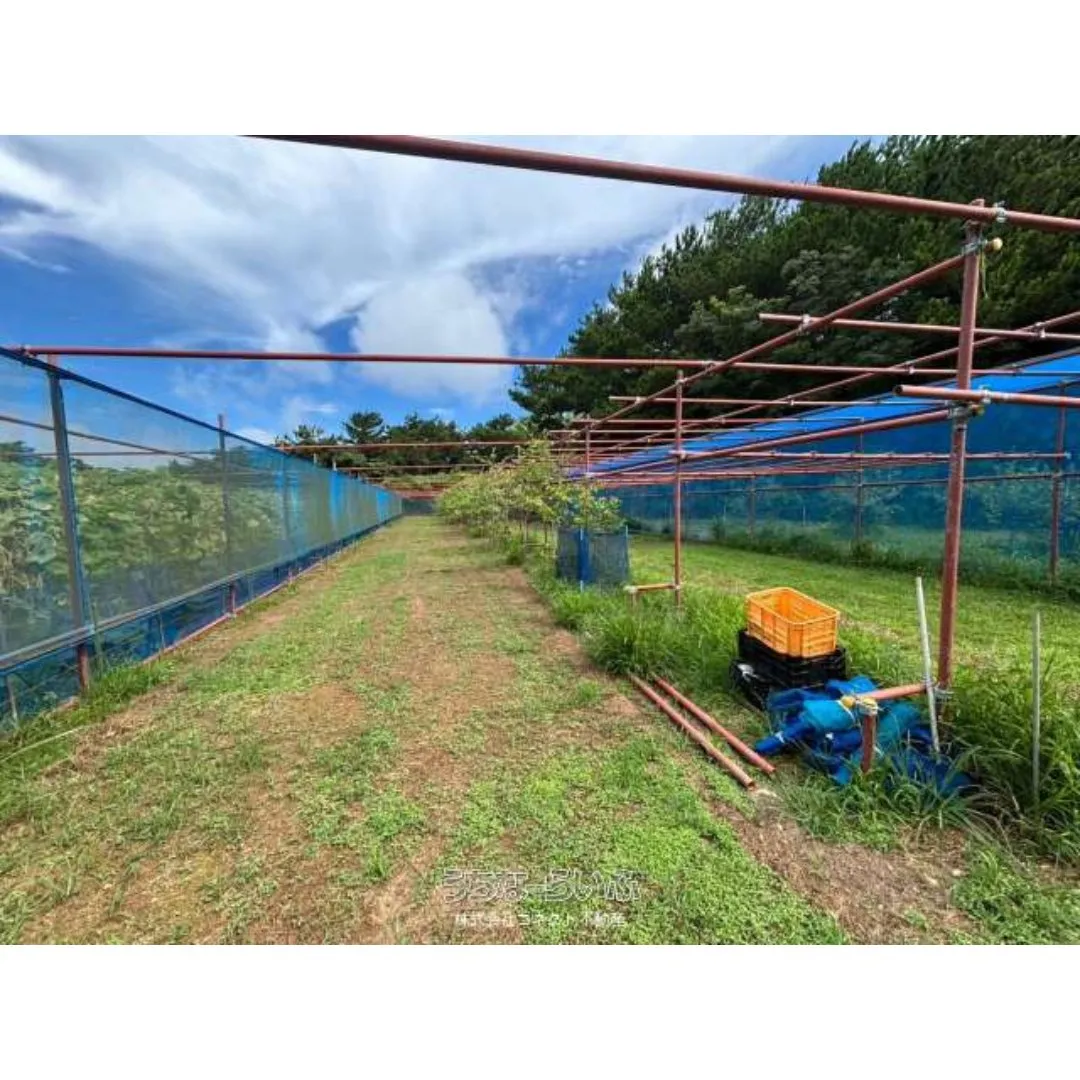 名護市振慶名売土地1970.48坪✨