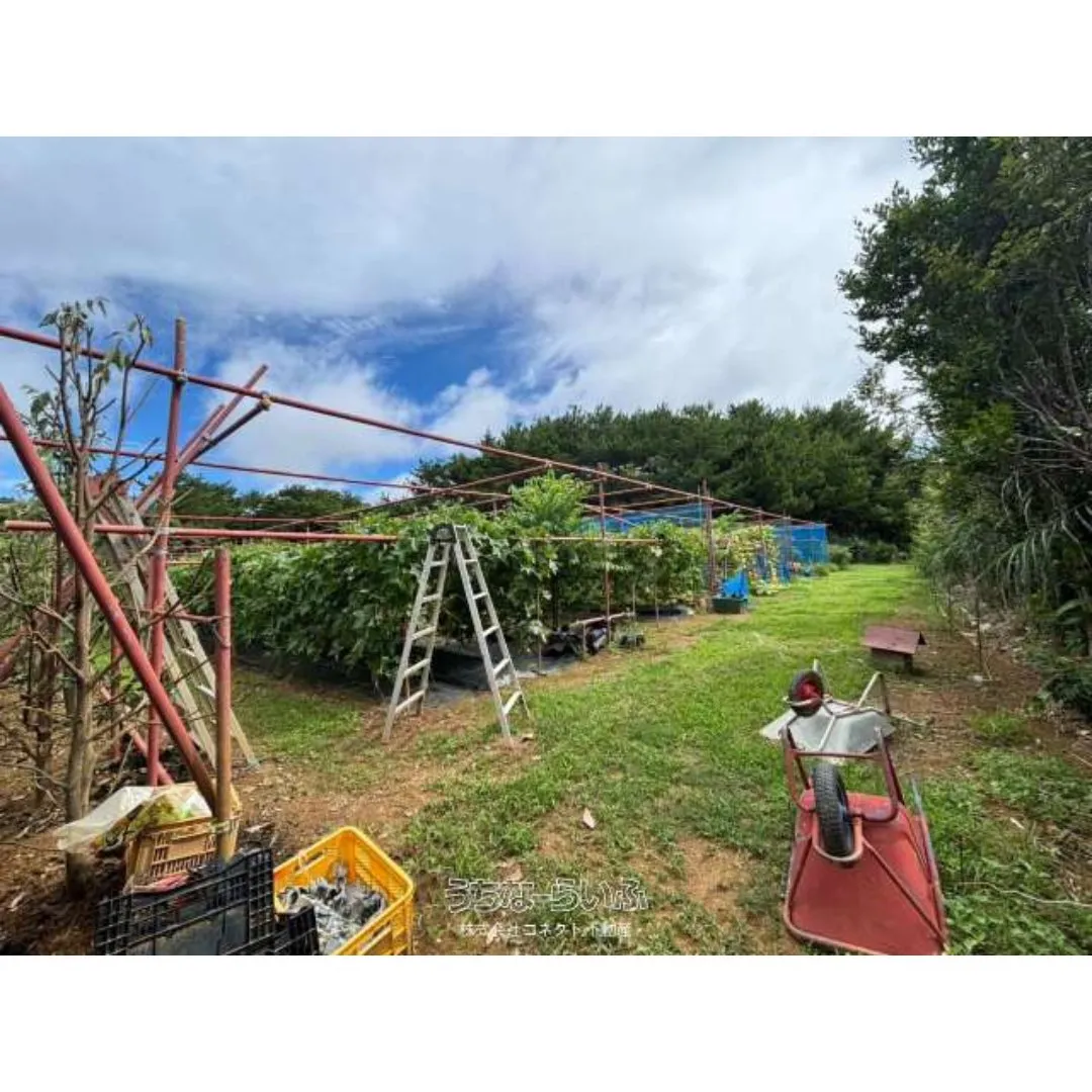 名護市振慶名売土地1970.48坪✨