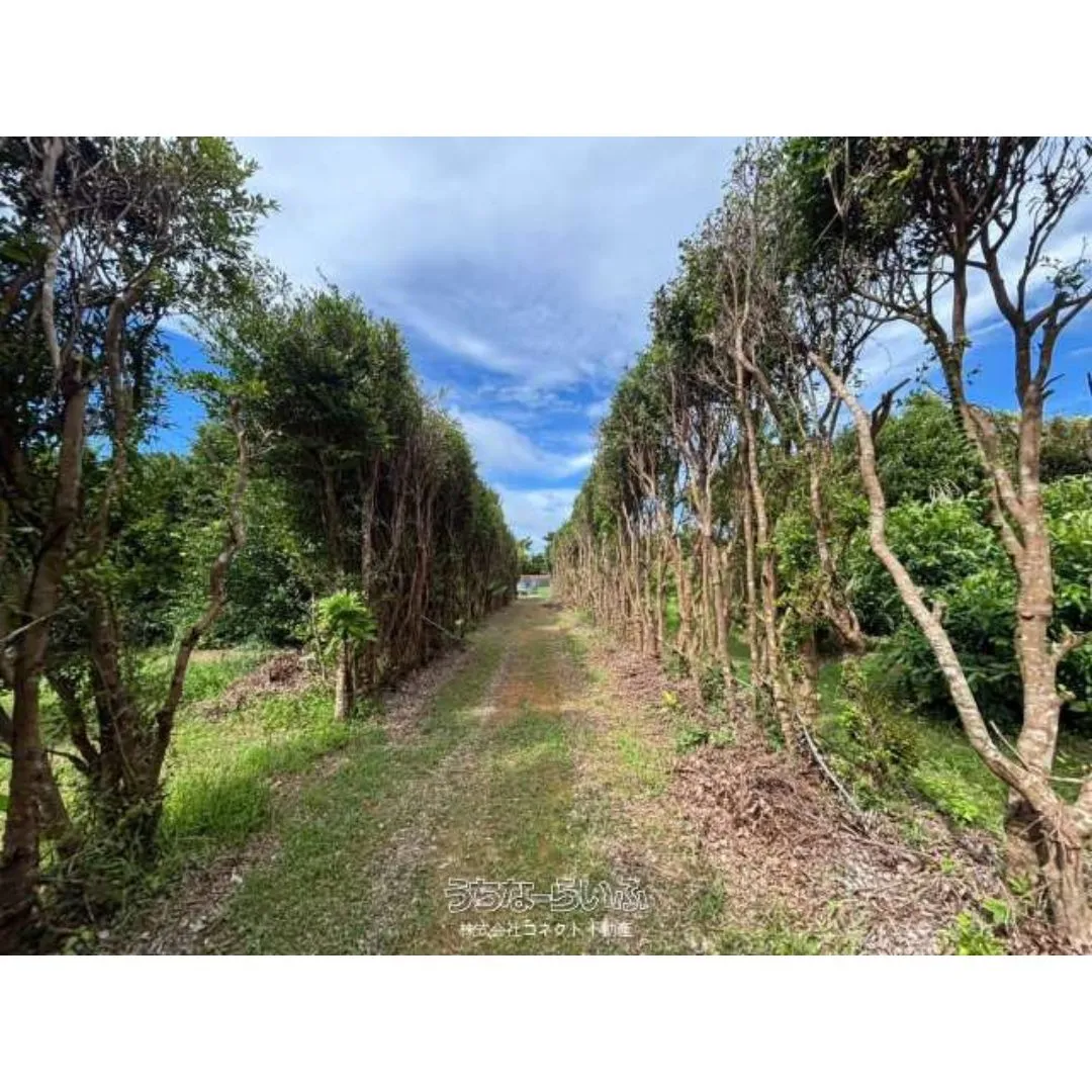 名護市振慶名売土地1970.48坪✨