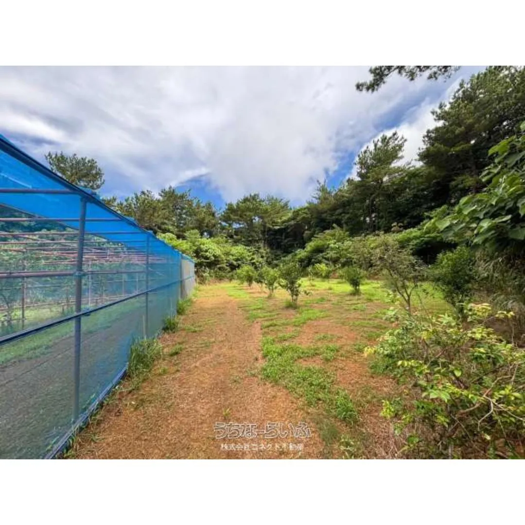 名護市振慶名売土地1970.48坪✨