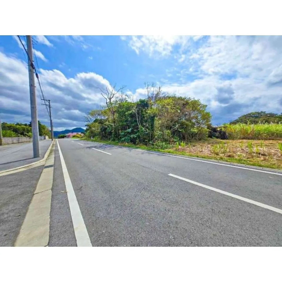 本部町石川売土地225.36坪✨