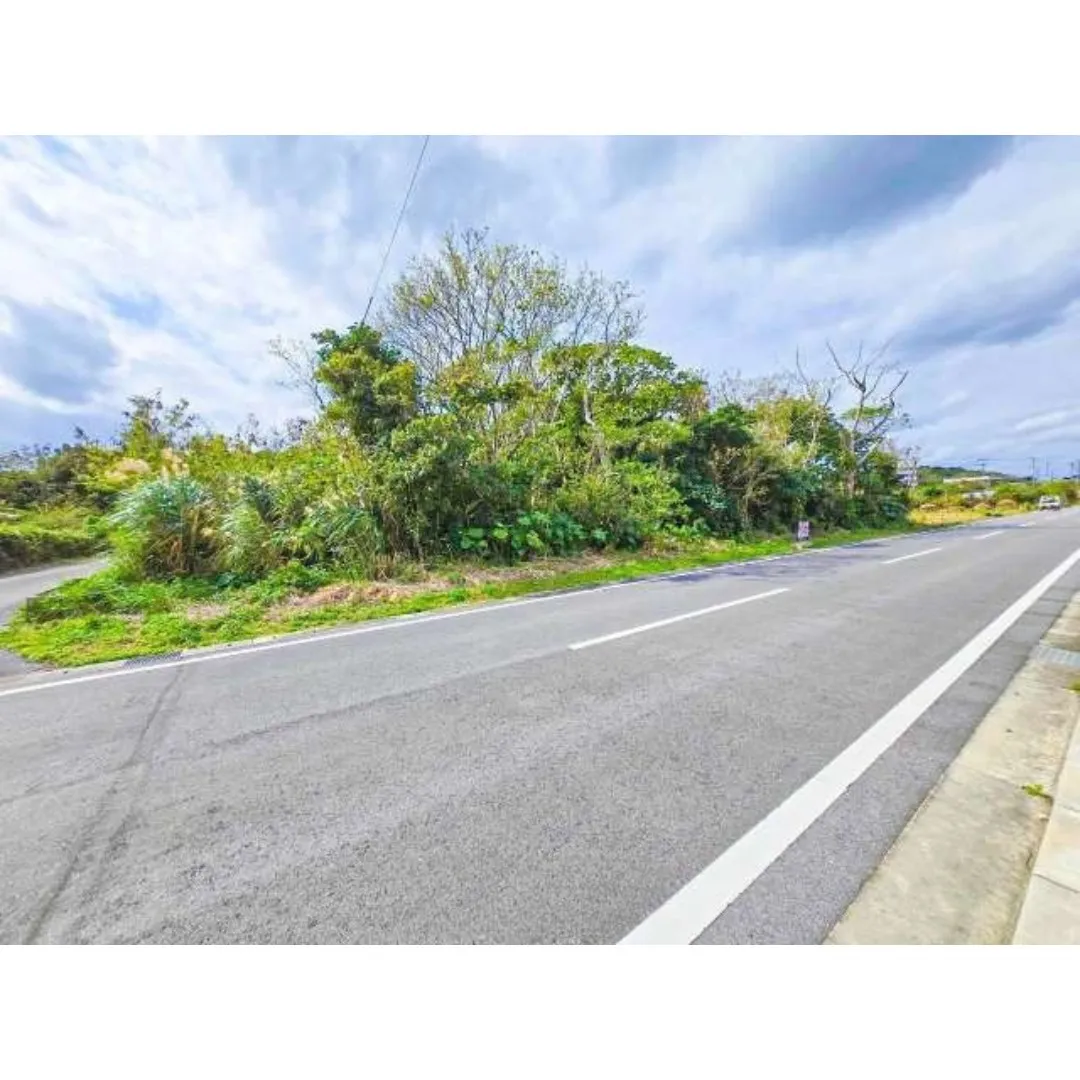 本部町石川売土地225.36坪✨