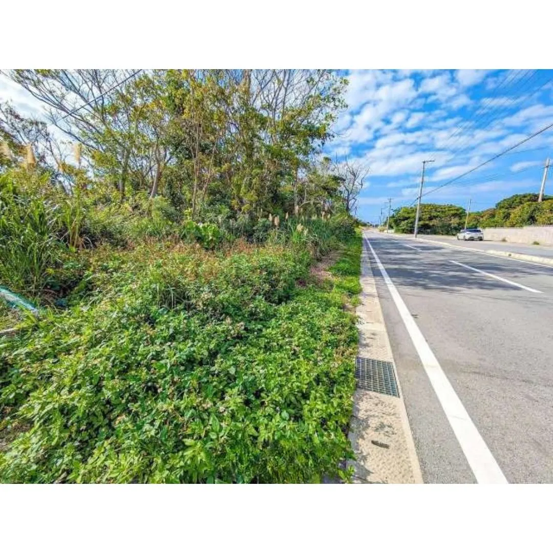 本部町石川売土地225.36坪✨