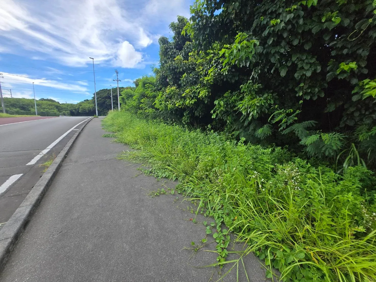 本部町豊原売土地529-1