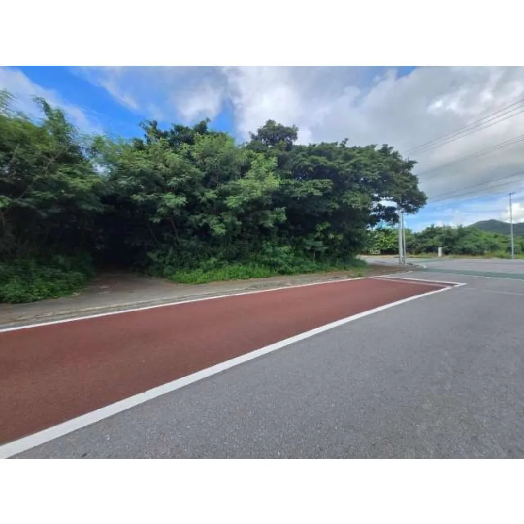 本部町豊原売土地453.01坪✨